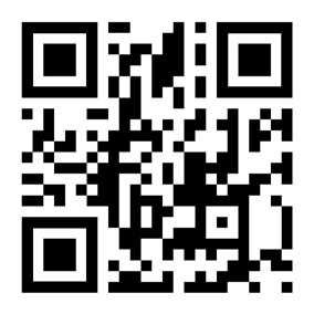 QR code FLUX